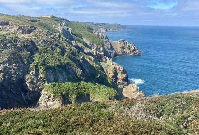 Dog cliff rescue message