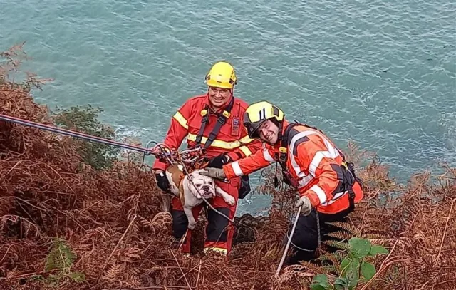 Fafe518c 1614 4b19 84f7 04f83b9279b4